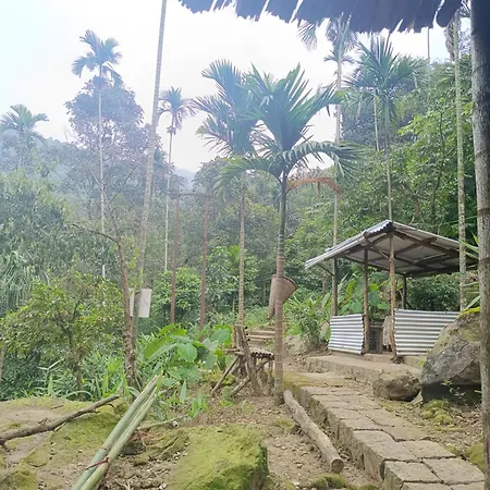 Mepa Homestay Cherrapunji Exterior photo